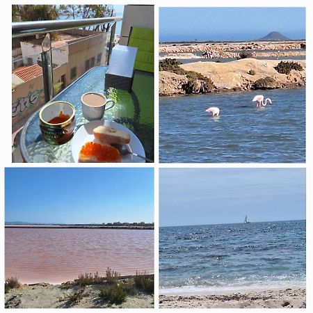 Nice Apartment With Terrace On The Los Locos Beach 또레비에하 외부 사진