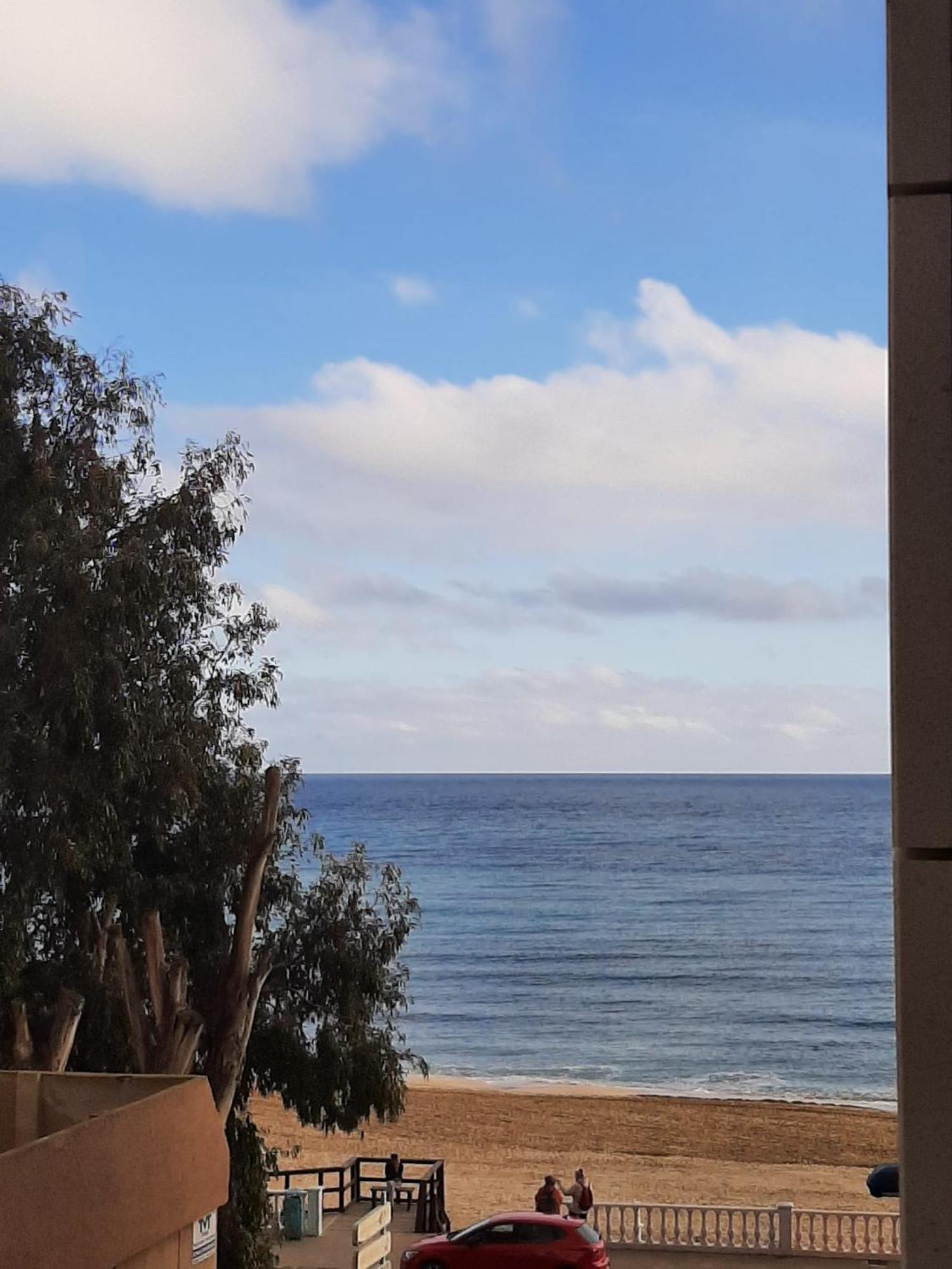 Nice Apartment With Terrace On The Los Locos Beach 또레비에하 외부 사진